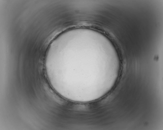 X0000113761409200910211158