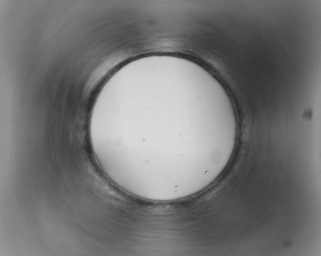 X0000113761410200910211158