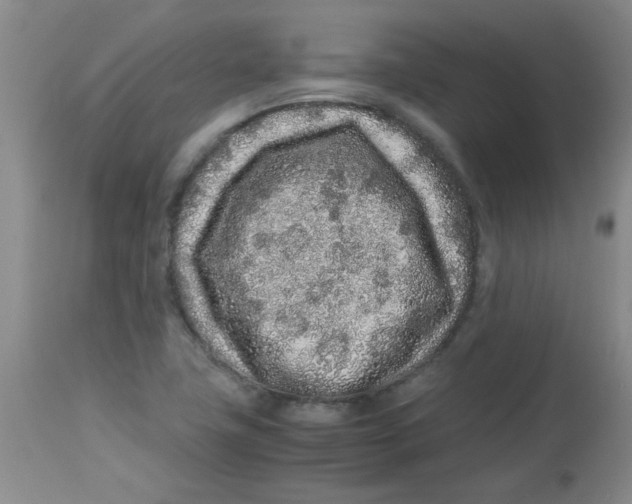 X0000113761411200910211158