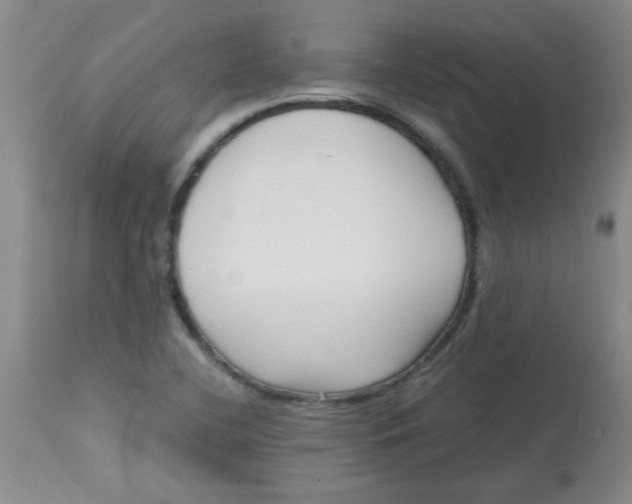 X0000113761412200910211159