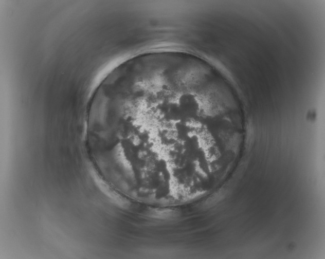 X0000113761413200910211159