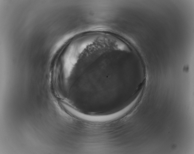 X0000113761414200910211159