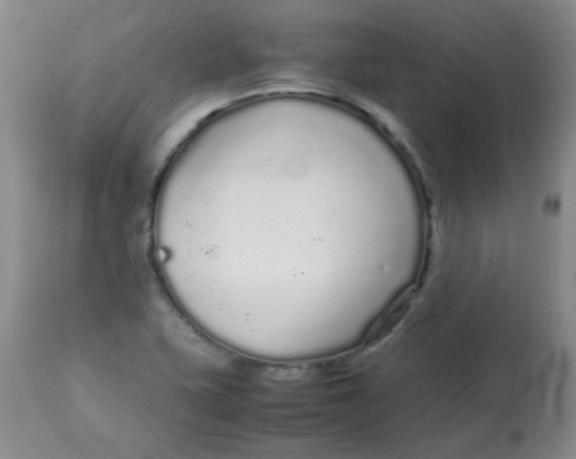 X0000113761415200910211159