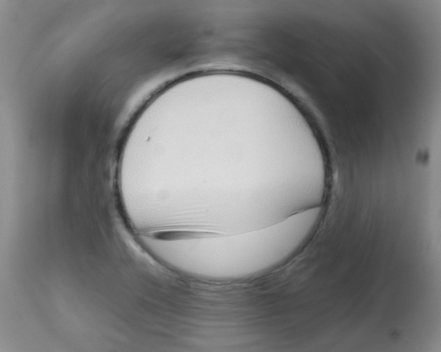 X0000113761416200910211159