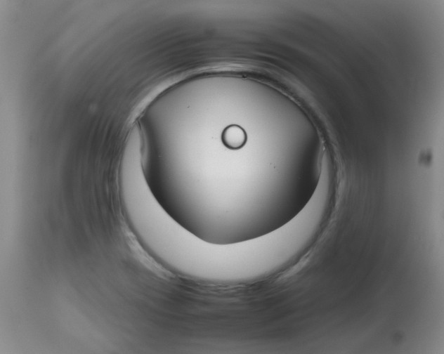 X0000113761417200910211159