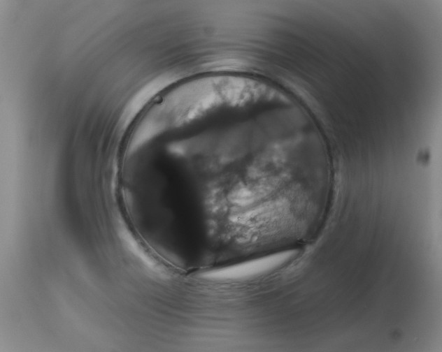 X0000113761418200910211159