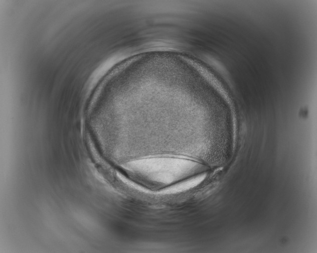 X0000113761419200910211159