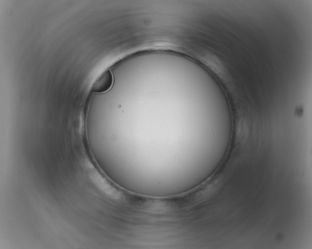 X0000113761420200910211159