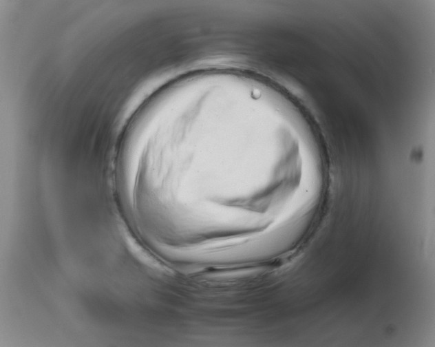 X0000113761421200910211159