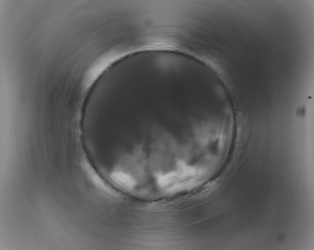 X0000113761422200910211159