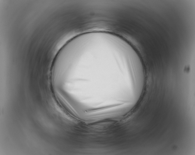 X0000113761423200910211159