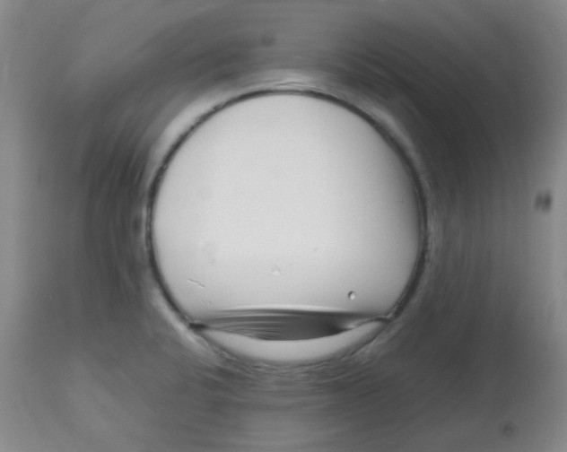 X0000113761424200910211159