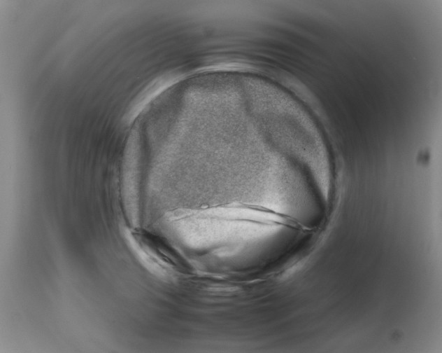 X0000113761425200910211159