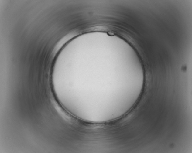 X0000113761426200910211159