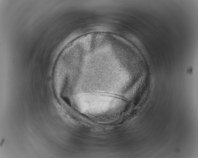 X0000113761427200910211159