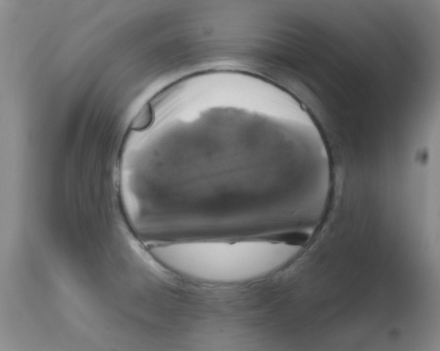 X0000113761428200910211159