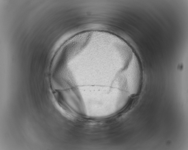 X0000113761429200910211159