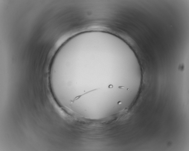 X0000113761430200910211159