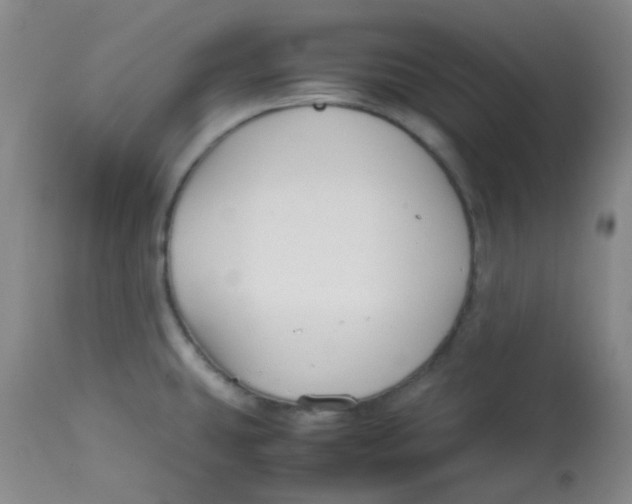 X0000113761431200910211159