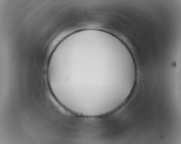 X0000113761432200910211159