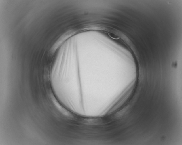 X0000113761433200910211159