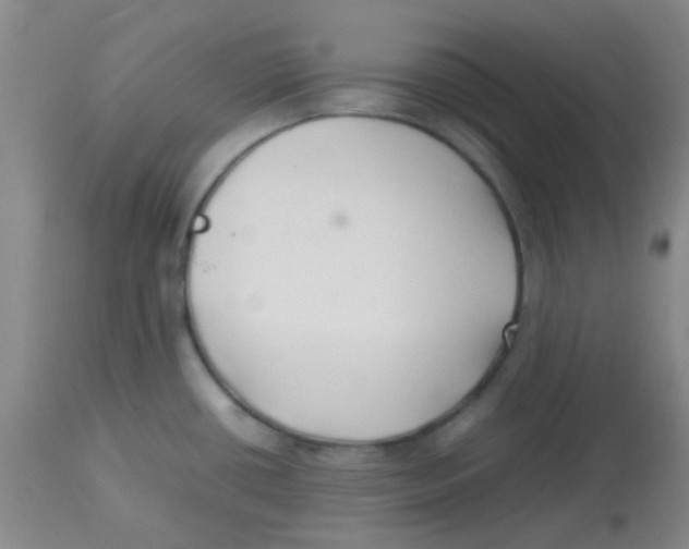 X0000113761434200910211159