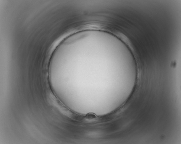 X0000113761435200910211159