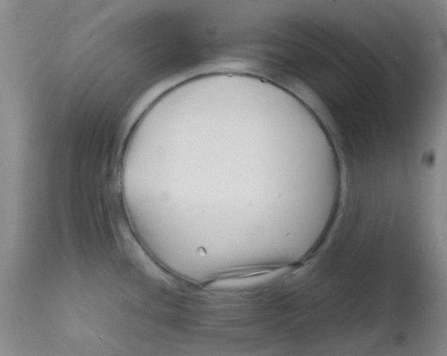 X0000113761436200910211159