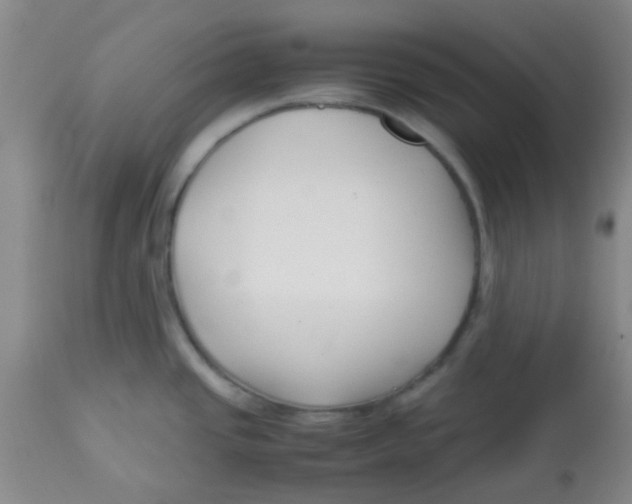 X0000113761437200910211159