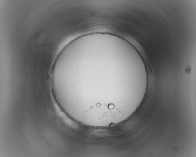 X0000113761439200910211159