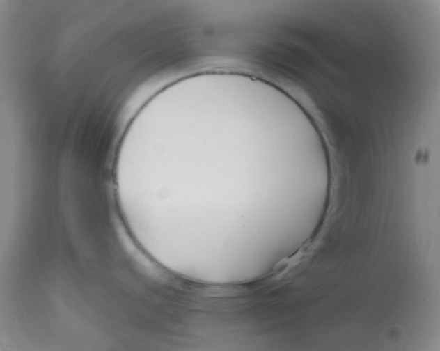 X0000113761440200910211159