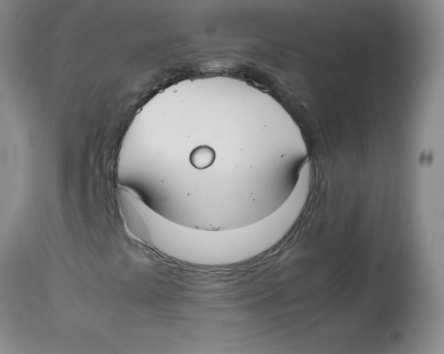 X0000113761441200910211158