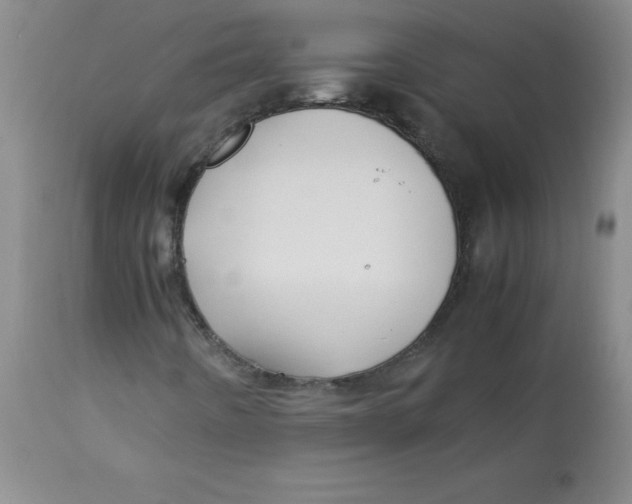 X0000113761442200910211158