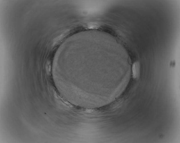 X0000113761443200910211158