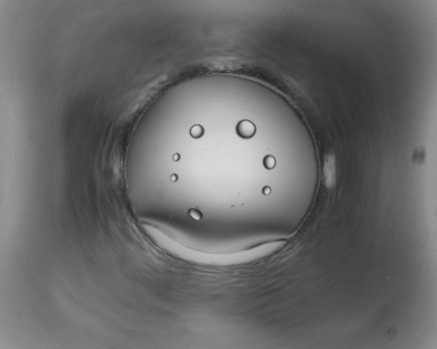 X0000113761444200910211158