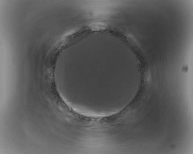 X0000113761445200910211158