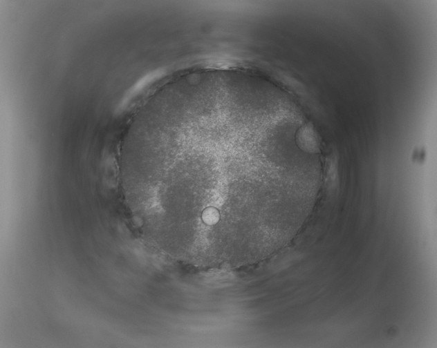 X0000113761446200910211158