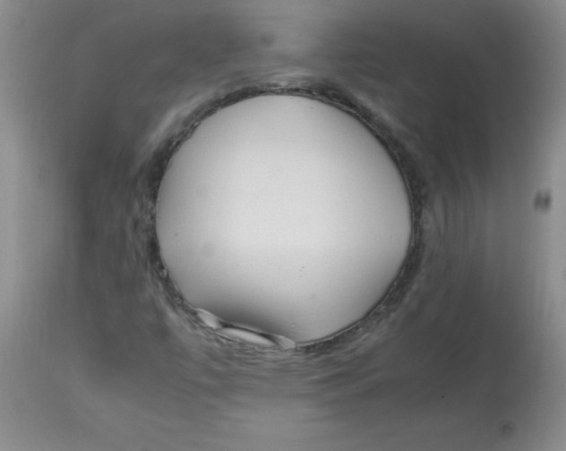 X0000113761447200910211158