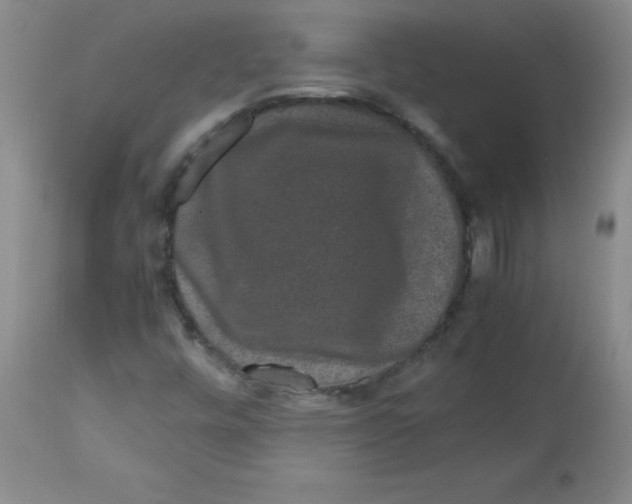 X0000113761448200910211158