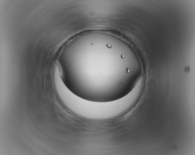 X0000113761449200910211158