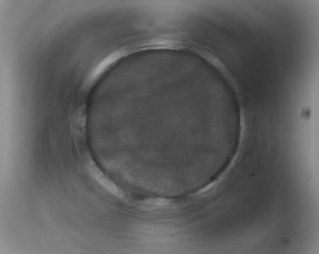 X0000113761450200910211158