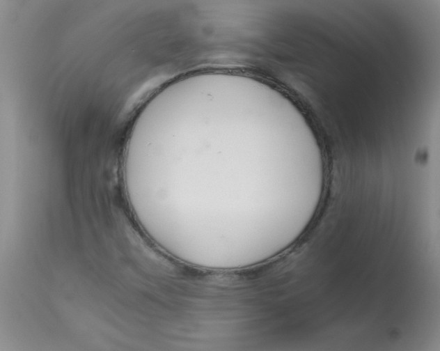 X0000113761451200910211158