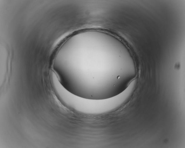 X0000113761452200910211158