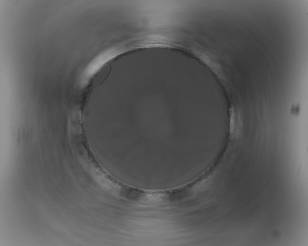 X0000113761453200910211158