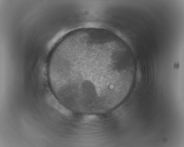 X0000113761454200910211158