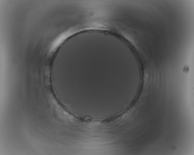 X0000113761455200910211158