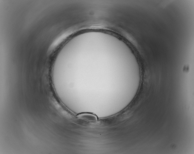 X0000113761456200910211158