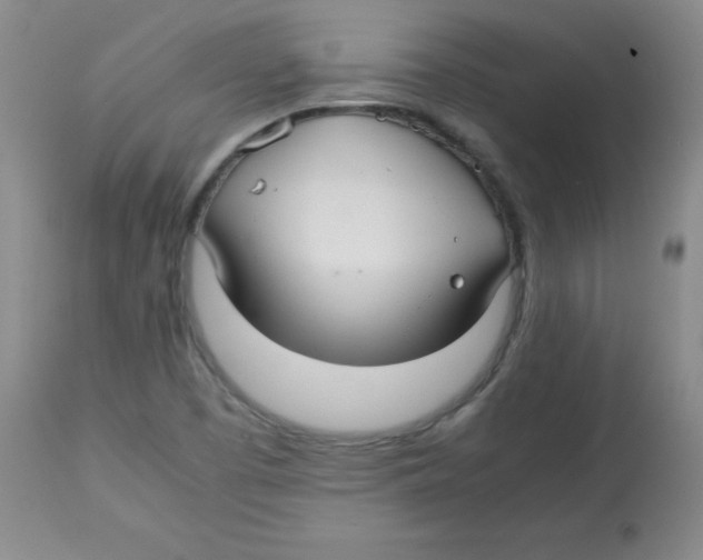 X0000113761457200910211158