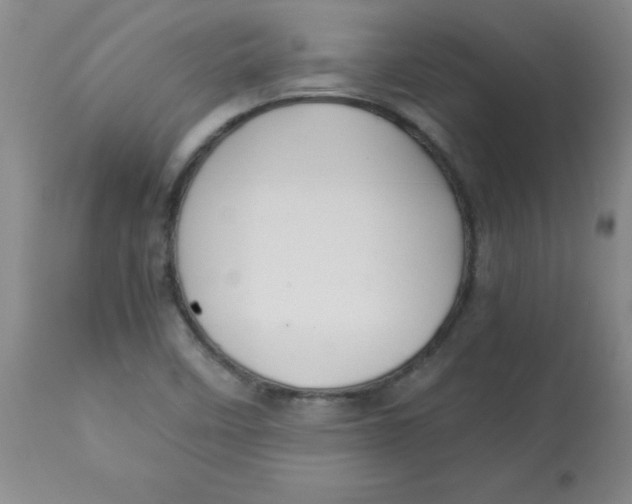 X0000113761458200910211158