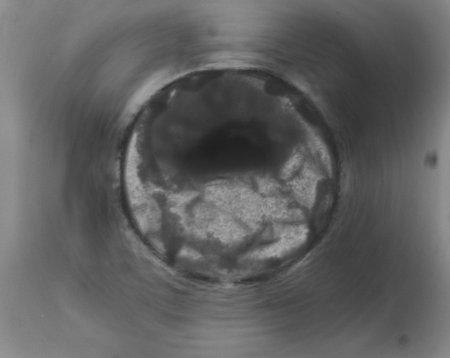 X0000113761459200910211158